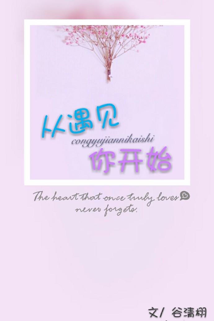 从遇见你开始 书包网