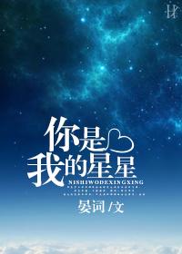 你是我的星星歌词
