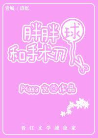 胖球公司