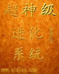 超神进化txt