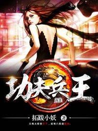 功夫兵王人物介绍