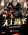 都市修仙强者叶枫