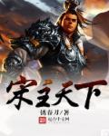 宋朝的天下是怎么来的