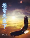 苍穹是天空的意思吗