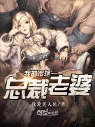 我的冷艳总裁老婆全文阅读