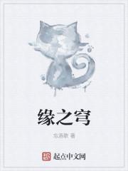 缘之穹全集