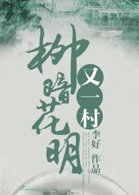 柳暗花明又一村前面一句是什么
