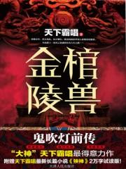 金棺陵兽好看吗