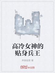 高冷美女总裁的贴身兵王