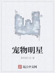宠物游戏