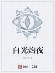 白夜光的作者是谁
