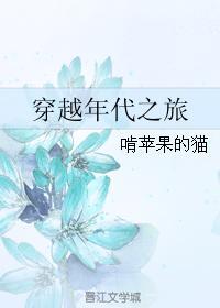 穿越年代之旅的