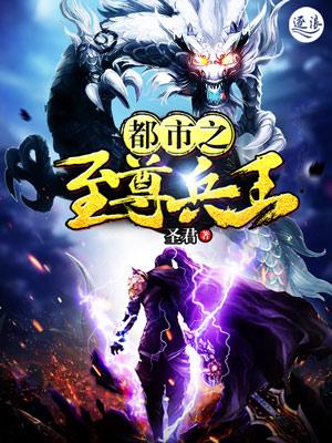 都市之至尊兵王林