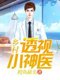 乡村透视小神医免费全文