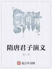 隋唐演义版