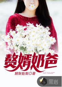 赘婿奶爸短剧