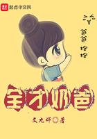 全才奶爸全文阅读