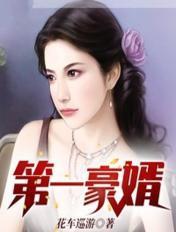 第一豪婿完整版免费阅读全文