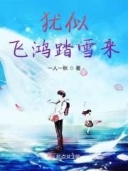 因似飞鸿踏雪天涯