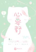 歌手心要野
