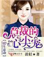 总裁心尖宠系列