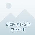 魅灵是什么意思