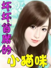 坏坏猫软件