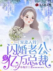 宠妻入骨闪婚老公是亿万总裁