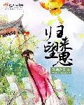 归去来书望的情人