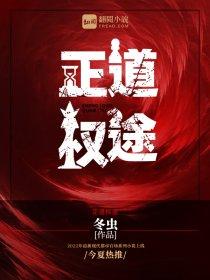 正道权途全文免费阅读