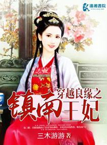 穿越良缘之镇南王妃最新章节