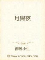 月黑夜风高全诗意思