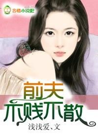 前夫不是夫