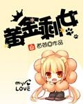 黄金剩女反击东北的最新视频