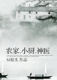 农家小厨神医晋江