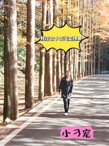 我在七十年代