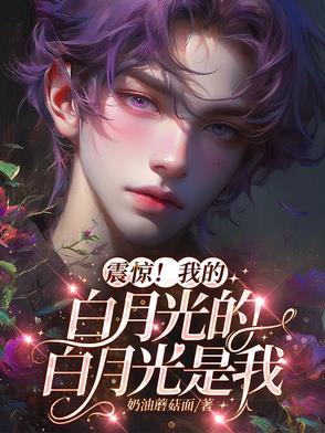我的白月光免费阅读