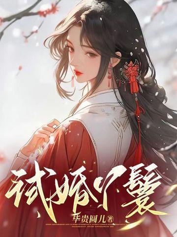试婚丫鬟和驸马的