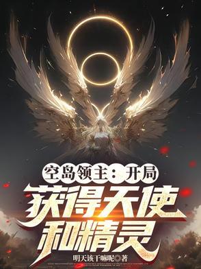 空岛大领主