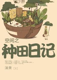 空间种田文免费阅读