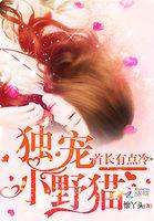 首长独宠小萌妻txt
