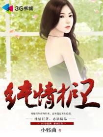 纯情护卫什么时候