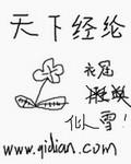 天下经纶全本TXT