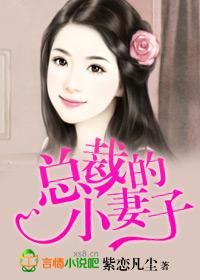 总裁的妻子全文阅读