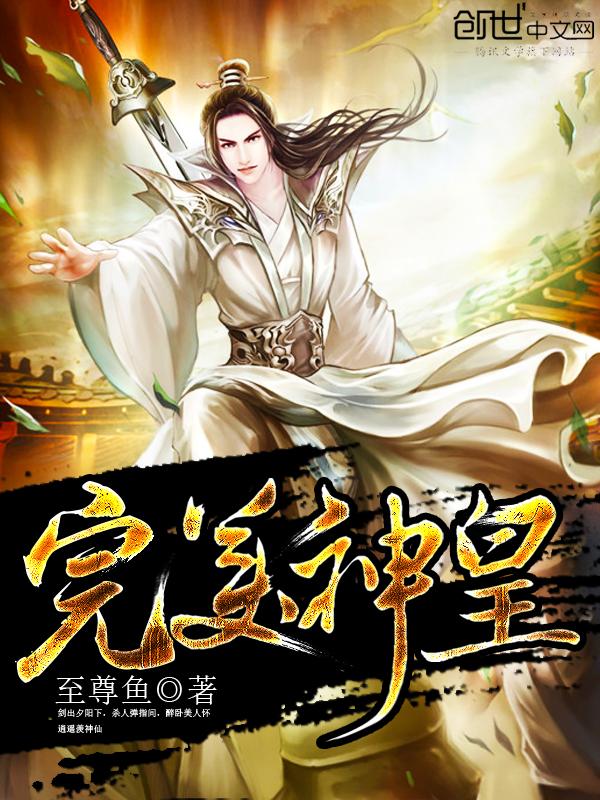 完美世界神王是什么境界
