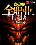 暗黑 升级 职业