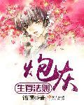 炮灰生存指南闪艺破解版