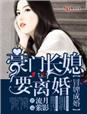 再嫁豪门总裁前妻不掉价(全本)