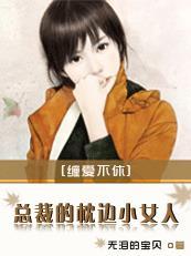 缠绵不休总裁的